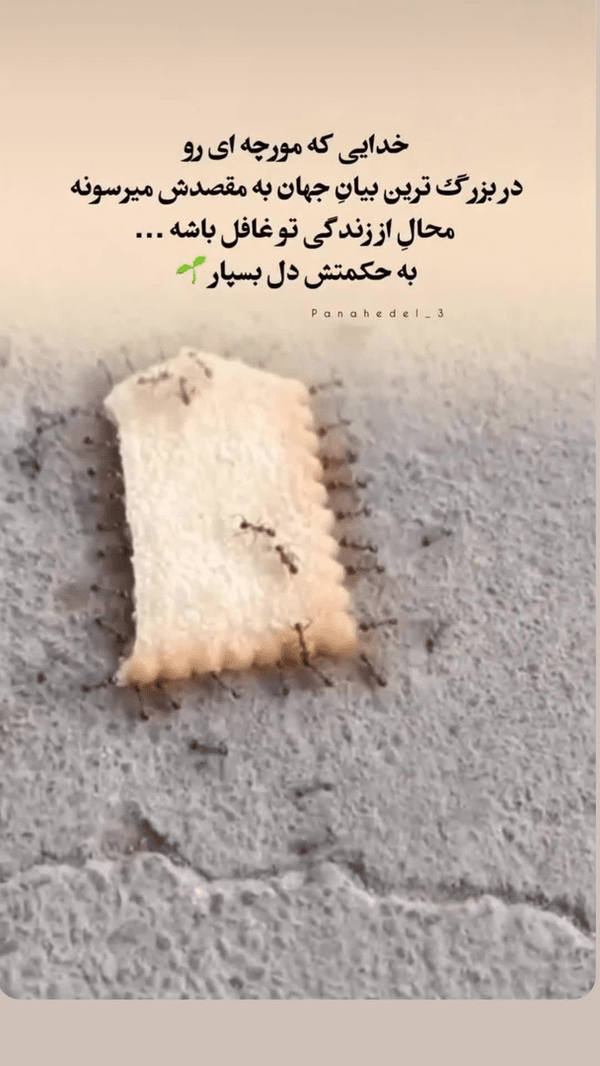 دلنوشته آزیتا ترکاشوند برای مسئولان: ایمان به خدا و مردم رمز عبور از بحران‌هاست