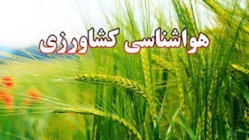 هشدار هواشناسی کشاورزی: کشاورزان و دامداران مراقب صاعقه و طوفان باشند