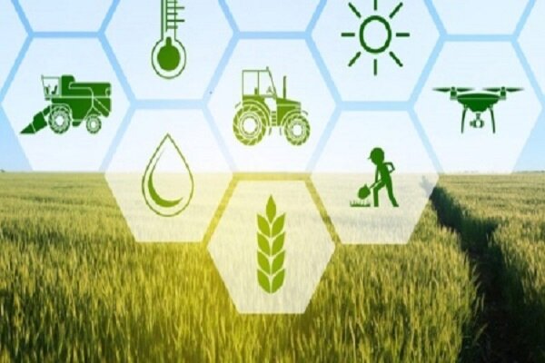 تسریع در پرداخت خسارت کشاورزان؛ غرامت‌ها هفتگی واریز می‌شود