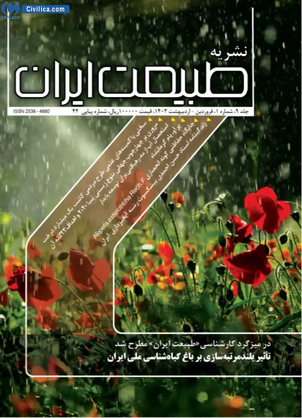 خشکیدگی درختان کهن‌سال ارس در دماوند؛ بررسی علمی عوامل آغاز شد