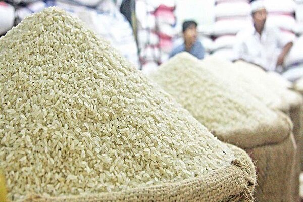 شالیکاران مازندران در انتظار حمایت جدی؛ افزایش هزینه‌ها و واردات بی‌ضابطه برنج خارجی
