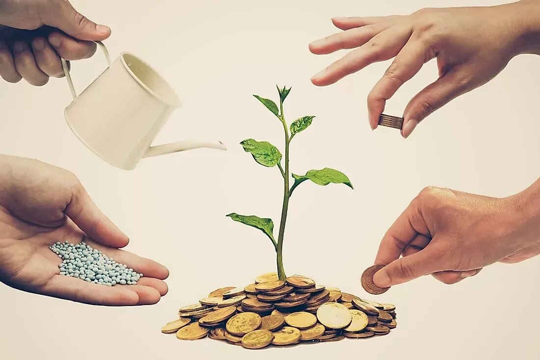 توسعه تعاون در خراسان جنوبی؛ اشتغال ۱۲ هزار نفر و صادرات ۳۰ میلیون دلاری