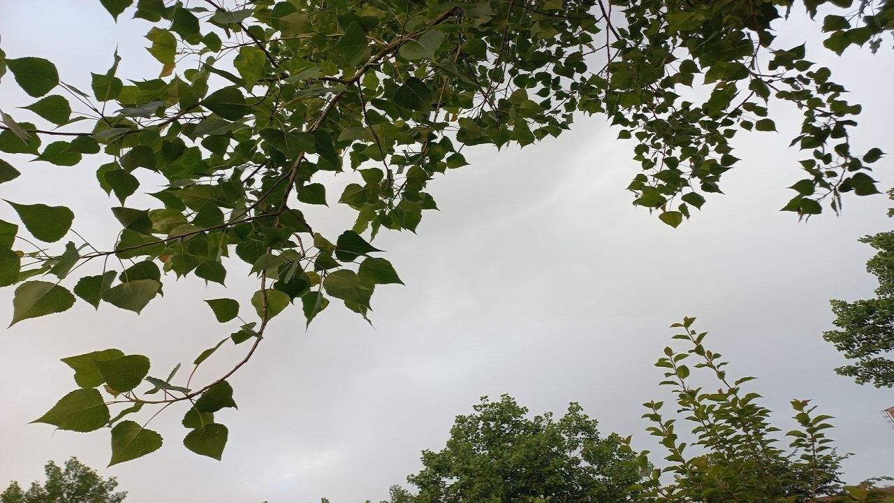 پیش‌بینی تداوم گرمای شدید و رطوبت بالا در گیلان / دمای ۳۵ درجه در مناطق جلگه‌ای
