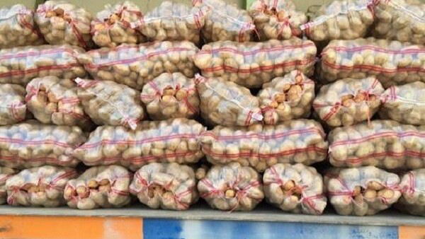 ممنوعیت صادرات سیب‌زمینی برای تنظیم بازار داخلی ابلاغ شد