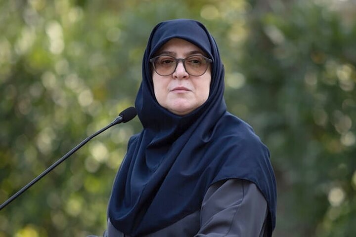 مهاجرانی: دولت به دنبال رفع ناترازی انرژی با تنوع‌بخشی به سبد سوخت است