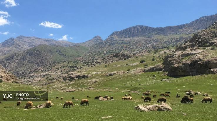 تاکید سازمان حفاظت محیط زیست بر بهره‌گیری از دانش بومی برای مقابله با چالش‌های زیست‌محیطی