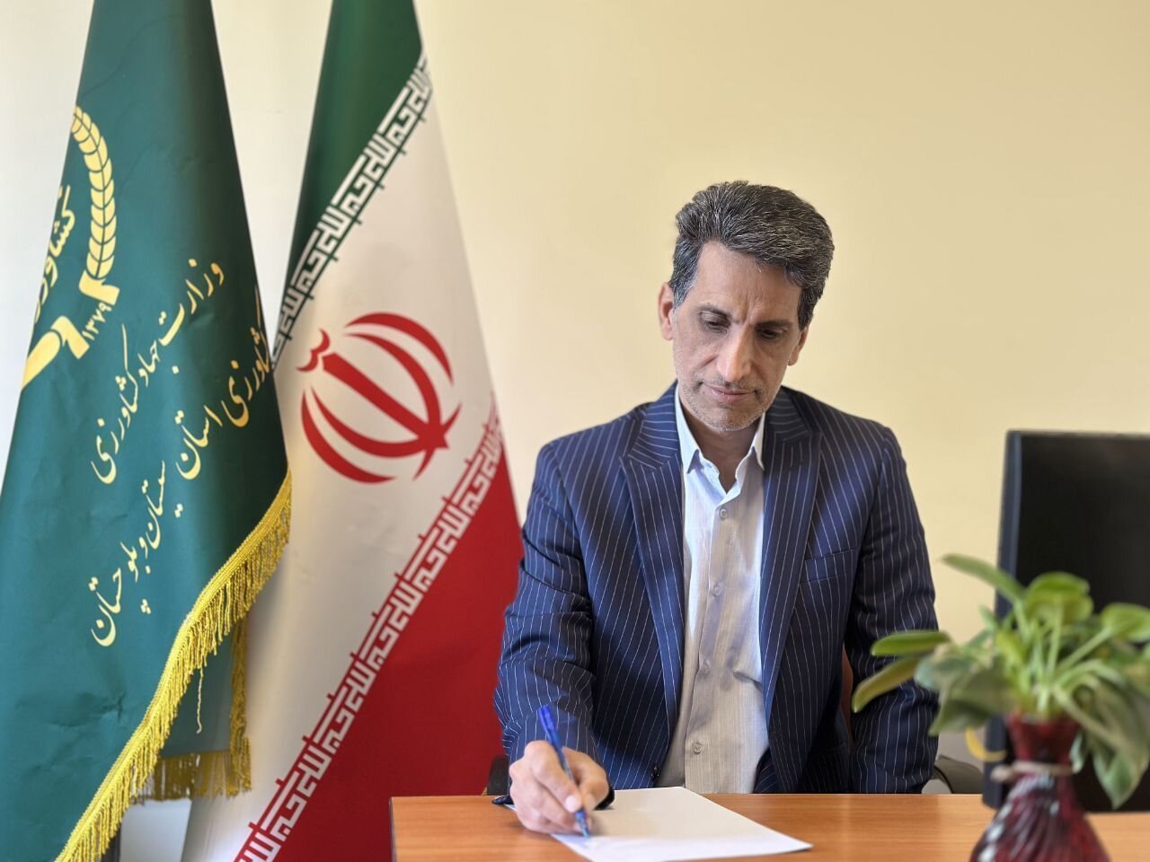۱۲ هزار تن گوجه‌فرنگی از مزارع بخش کورین زاهدان برداشت می‌شود
