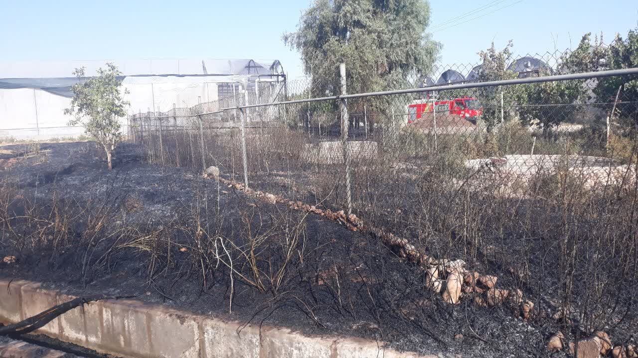 حریق گسترده گلخانه سبزیجات در خرم‌آباد مهار شد / آتش‌نشانان از تلفات جانی جلوگیری کردند
