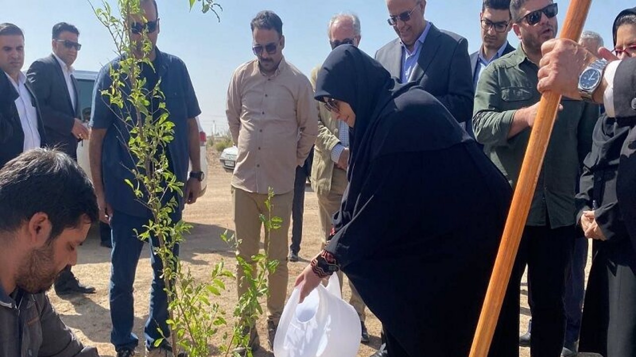 کاشت ۴۰ هزار اصله نهال در بزرگ‌ترین پارک جنگلی جنوب شرق کشور / تاکید معاون رئیس‌جمهور بر تحقق عدالت زیستی