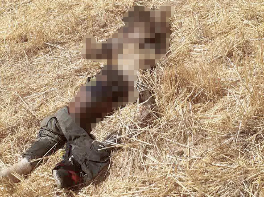 جسد نیمه‌خورده مرد میانسال در گندمزارهای چناران پیدا شد؛ هویت قربانی نامعلوم است