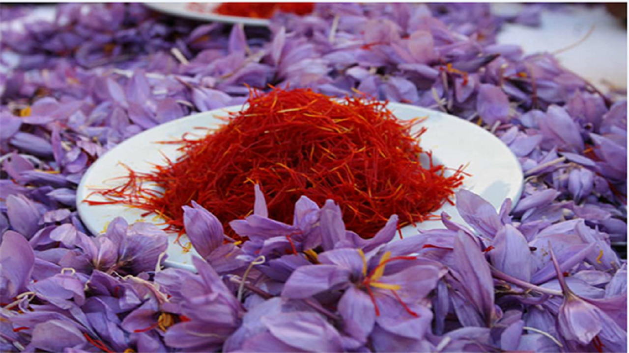 سهم کمتر از نیم‌درصدی ایران از بازار ۱۲۰ میلیارد دلاری گیاهان دارویی جهان