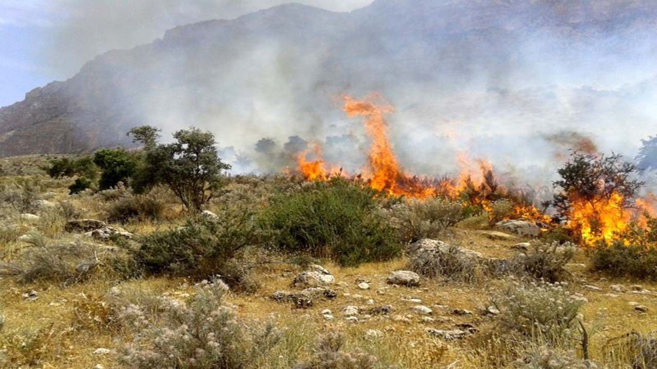 آتش‌سوزی پارک ملی بمو شعله‌ور شد؛ عملیات مهار حریق همچنان ادامه دارد