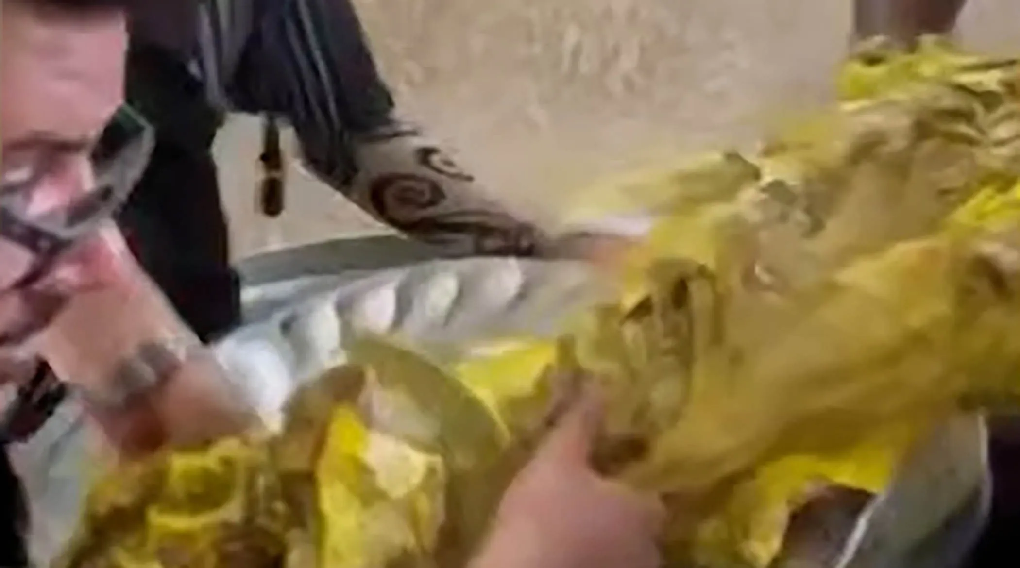 تصاویر تازه از پذیرایی زائران اربعین با سرو آهو منتشر شد