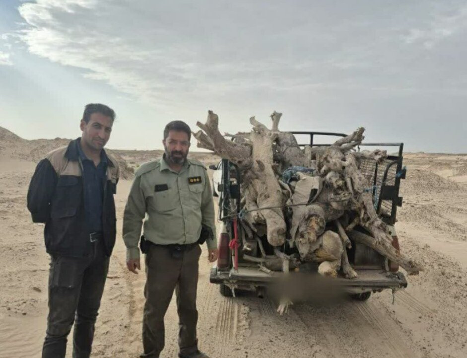 توقیف پنج خودرو و دستگیری هشت متخلف قطع درختان تاغ در کوهپایه اصفهان