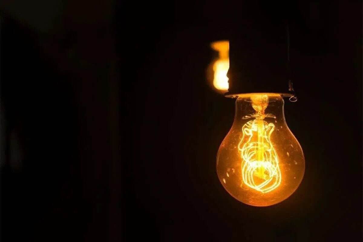 گربه بازیگوش، برق شهر فریمان را برای ساعتی قطع کرد