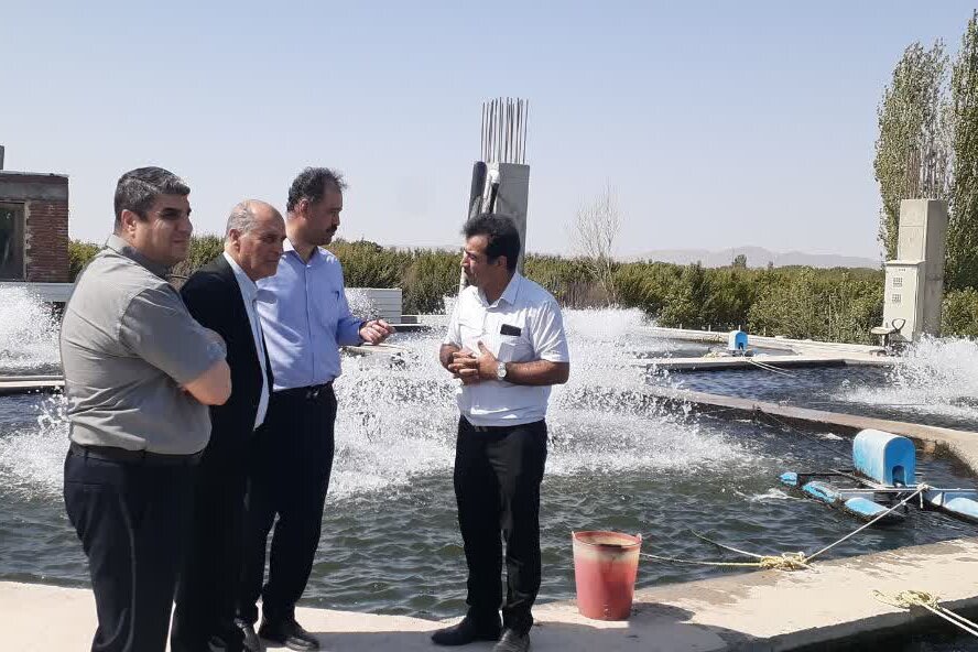 تکمیل زیرساخت‌های شهرک شیلات زینق در دستور کار؛ آبزی‌پروری مراغه توسعه می‌یابد