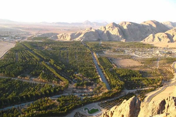 طغیان سوسک پوست‌خوار در جنگل قائم کرمان؛ ریه‌های شهر در خطر خشکیدگی