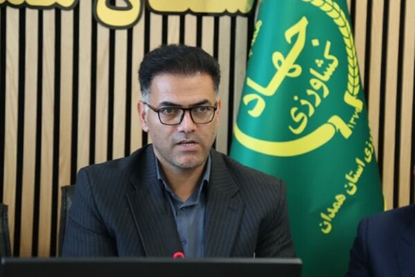 درخواست تسریع در پرداخت مطالبات گندمکاران همدانی در نشست توسعه روستاها