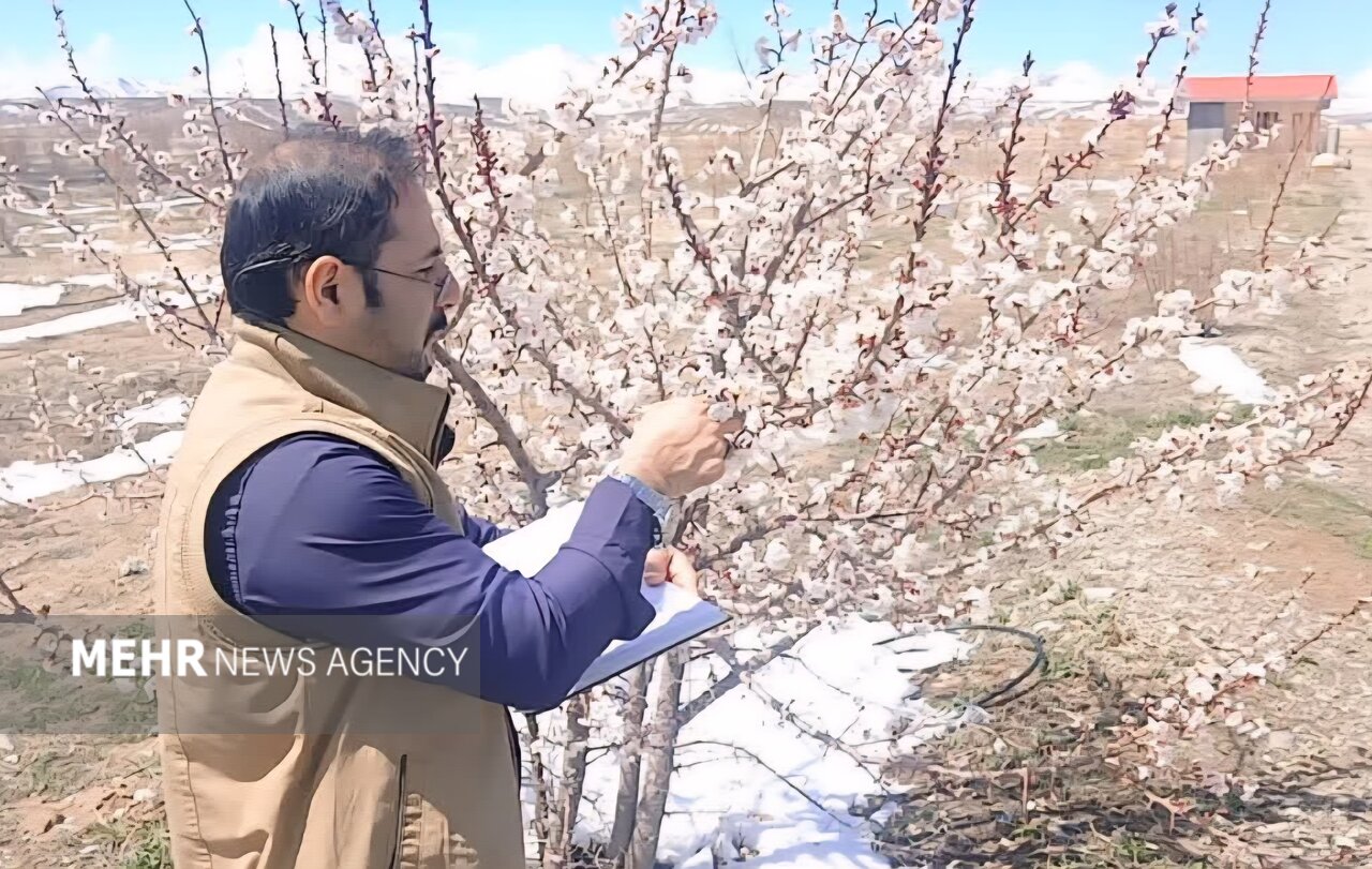 مقابله غیرشیمیایی با آفات در زیستگاه‌های کشور آغاز شد
