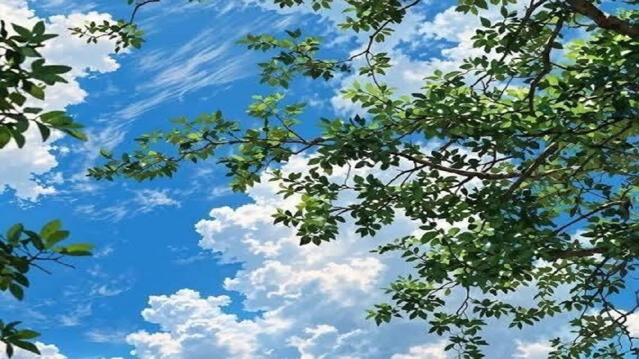 پیش‌بینی هوای مازندران؛ آسمان ابری، رگبار پراکنده و دریای مواج در راه است