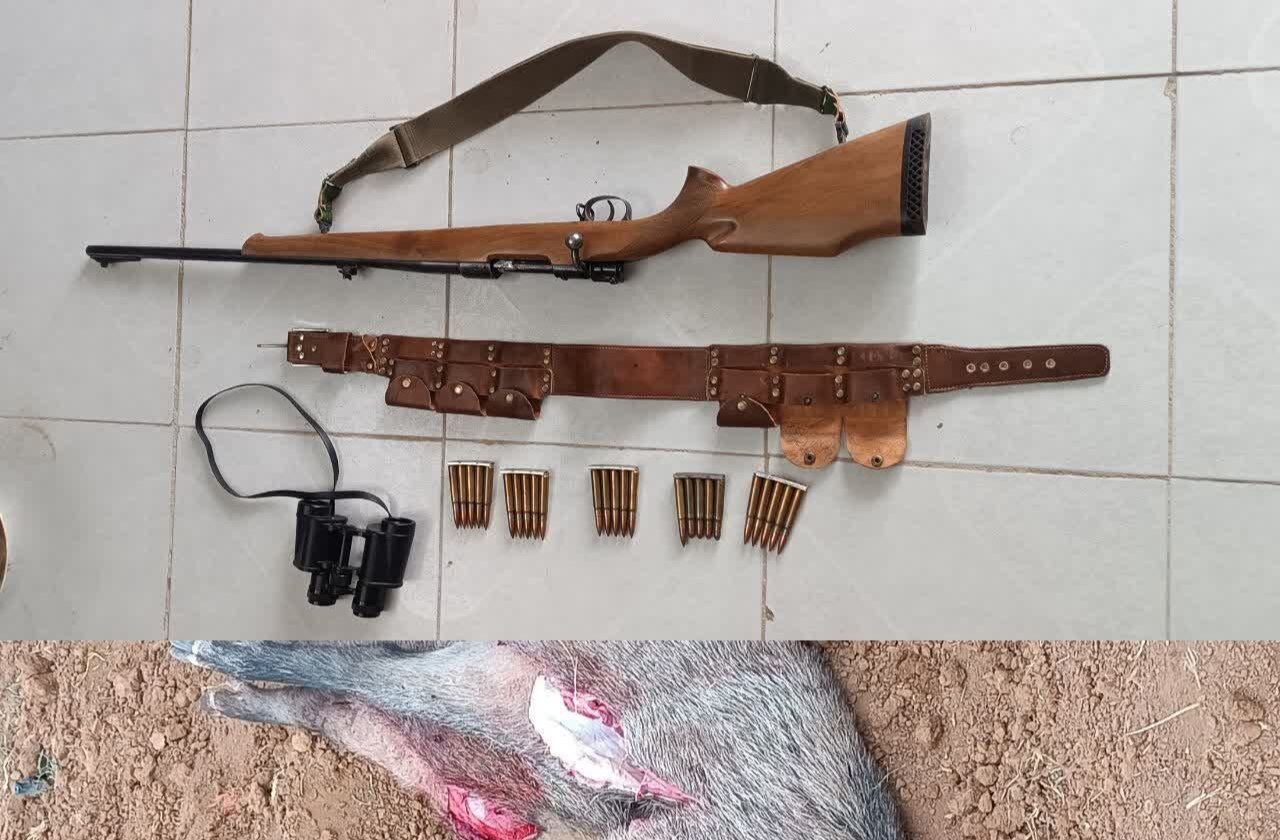 بازداشت دو شکارچی متخلف در پناهگاه حیات وحش راسوند؛ لاشه گراز و مهمات کشف شد