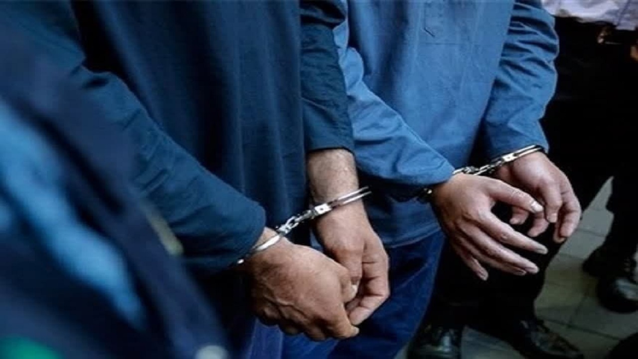 دستگیری ۱۱ عامل نزاع دسته‌جمعی در روستایی در زیرکوه؛ توقیف کامیون مرغ قاچاق در قاینات