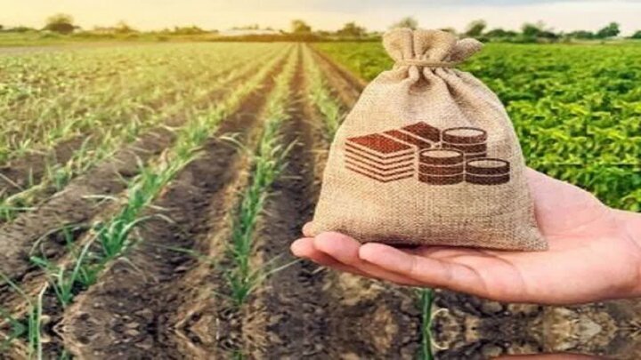 اقتصادی‌شدن تولید؛ محور اصلی تحول دو ساله وزارت جهاد کشاورزی