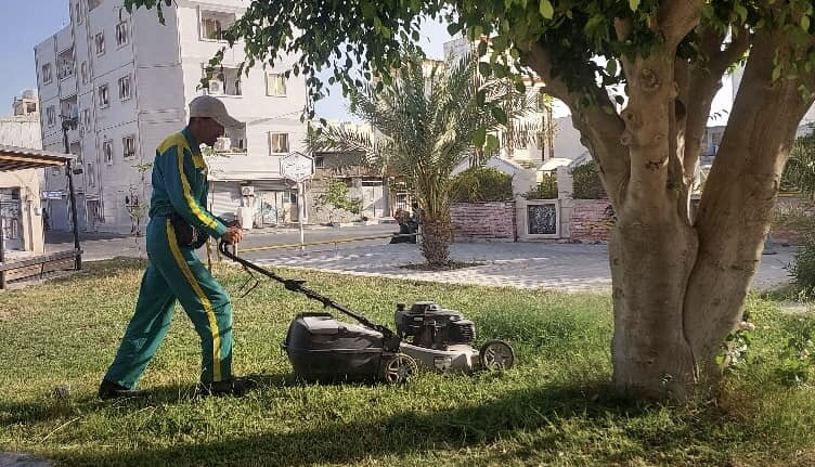 طرح جایگزینی درختان بیمار و آفت‌زده کرمانشاه با نهال‌های مقاوم آغاز شد