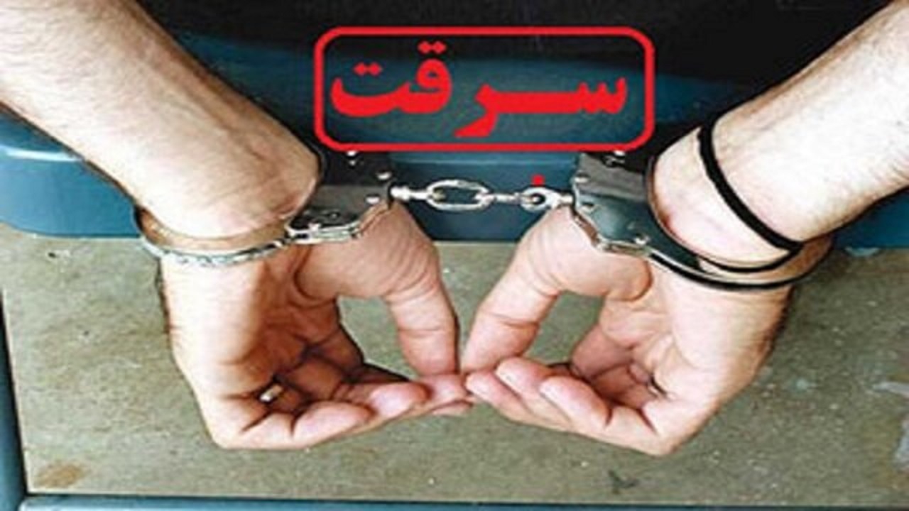 باند چهار نفره سارقان موتور کولر و احشام در قاینات متلاشی شد