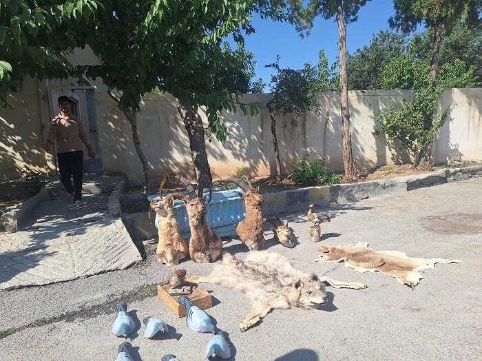 کشف انبار سلاح و تاکسیدرمی حیات‌وحش در مخفیگاه شکارچیان غیرمجاز چهارمحال و بختیاری