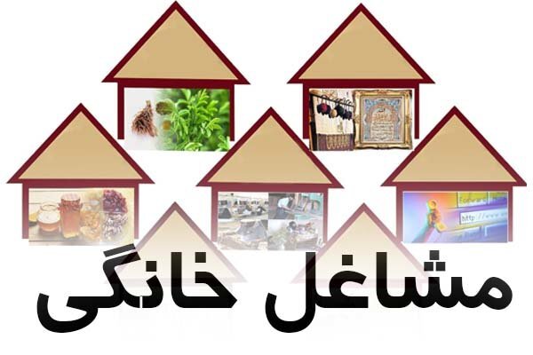 پرداخت ۳۰ میلیارد تومان تسهیلات مشاغل خانگی در تنگستان؛ اشتغال ۲۱۲ نفر فراهم شد