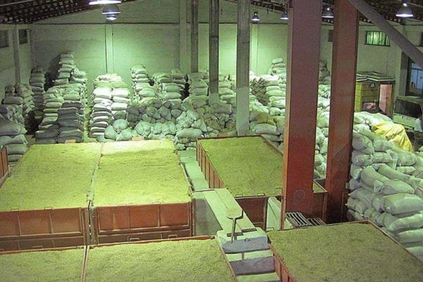 ابلاغ نرخنامه جدید شالیکوبیها در مازندران؛ ۱۰ پرونده تعزیراتی برای واحدهای متخلف