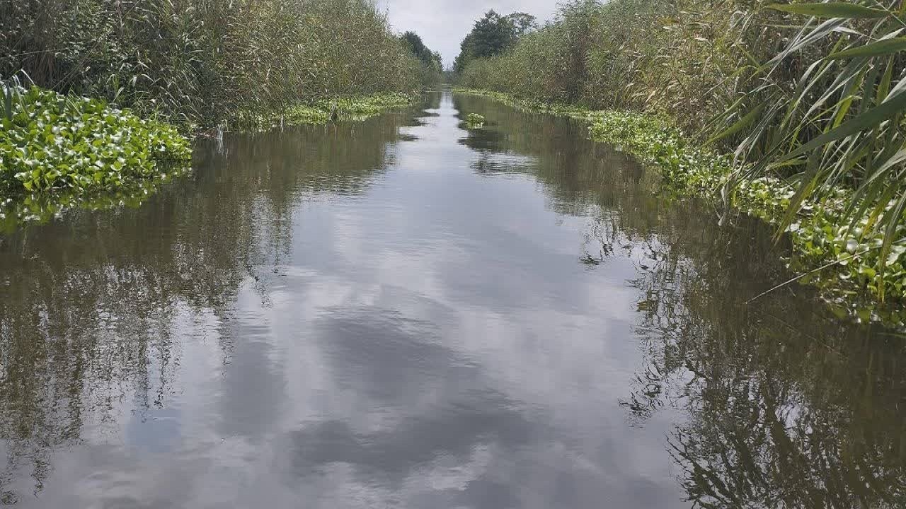 نصب دو دریچه تنظیمی آب در مسیر تالاب انزلی؛ گامی نو برای احیای بخش غربی