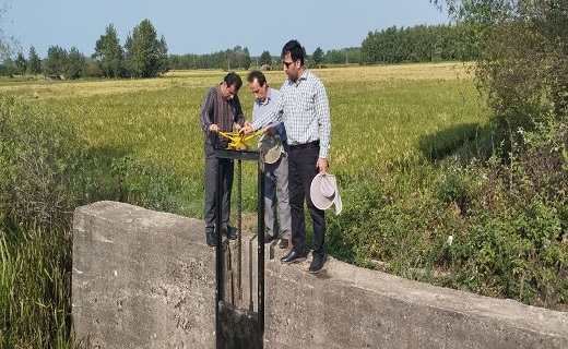 بازدید کارشناسان محیط زیست از تالاب انزلی