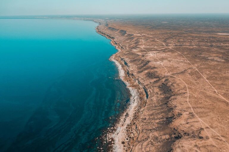 نجات خزر در گرو همکاری جمعی پنج کشور ساحلی