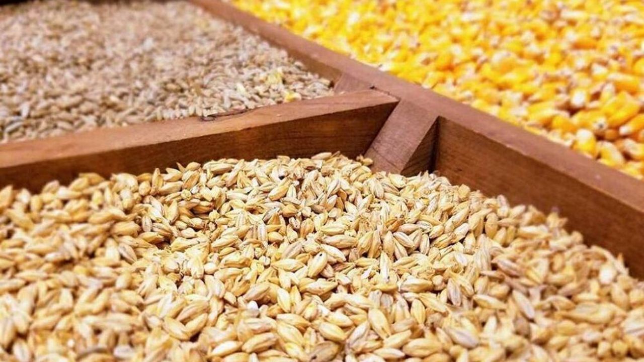 تأخیر اجرای دستور رئیس‌جمهور در پرداخت مطالبات ارزی واردکنندگان؛ هشدار نسبت به اختلال در تأمین کالاهای اساسی