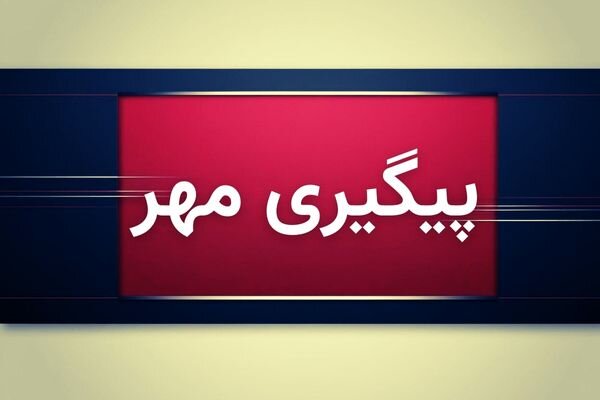 رئیس دانشگاه علوم پزشکی ایلام: پرونده مرگ مادران باردار تا حصول نتیجه پیگیری میشود