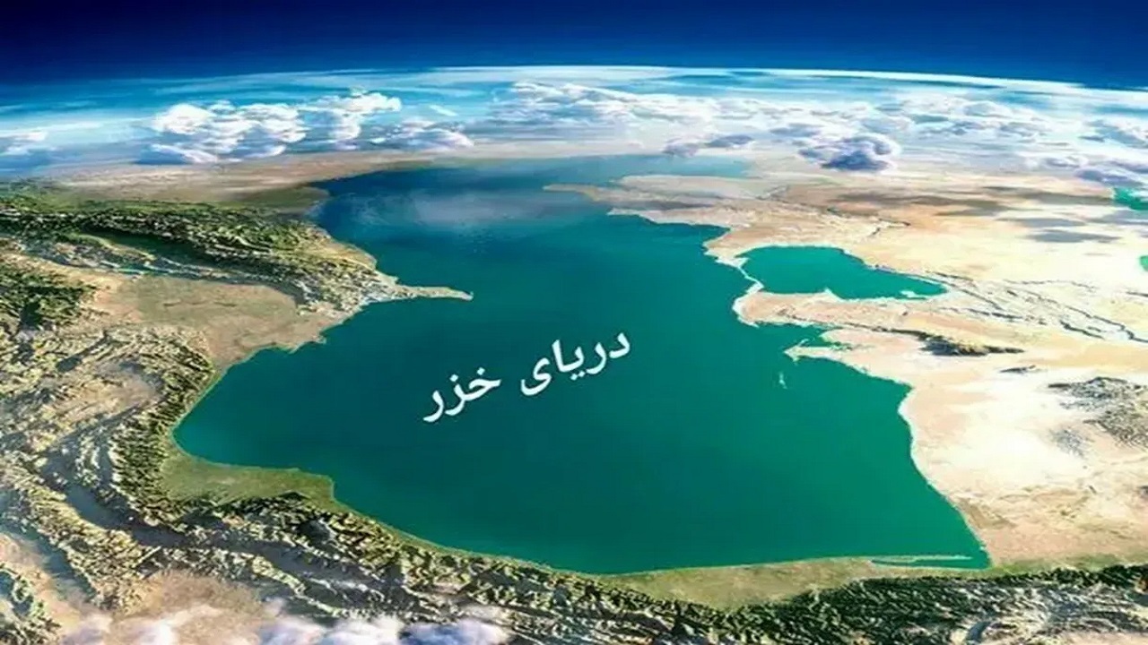 زنگ خطر برای خزر؛ کاهش شدید جمعیت فک و ضرورت همکاری پنج کشور ساحلی