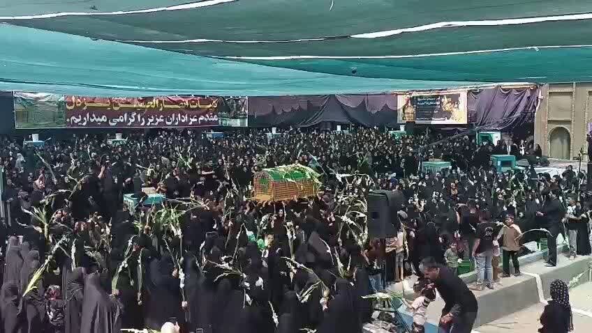 عزاداران رضوی در یزدل، خورشید را گلباران کردند