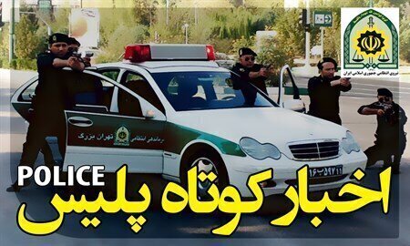 عملیات گسترده پلیس فارس علیه قاچاق؛ از سوخت و سیگار تا پیانو و احشام غیرمجاز