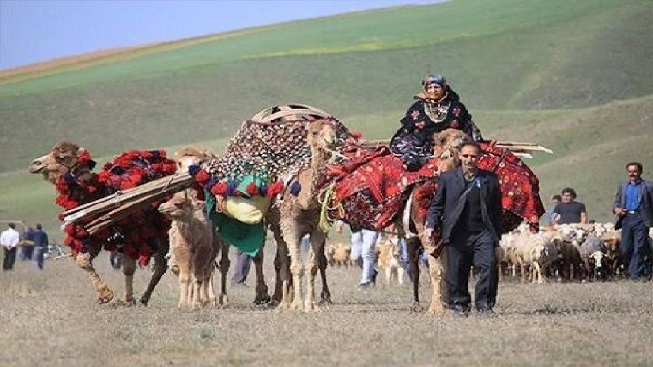 پوشش بیمه اجتماعی ۱۳۱ هزار روستایی و عشایر در لرستان؛ بیمه رایگان ۱۳ هزار و ۵۰۰ مادر دارای سه فرزند