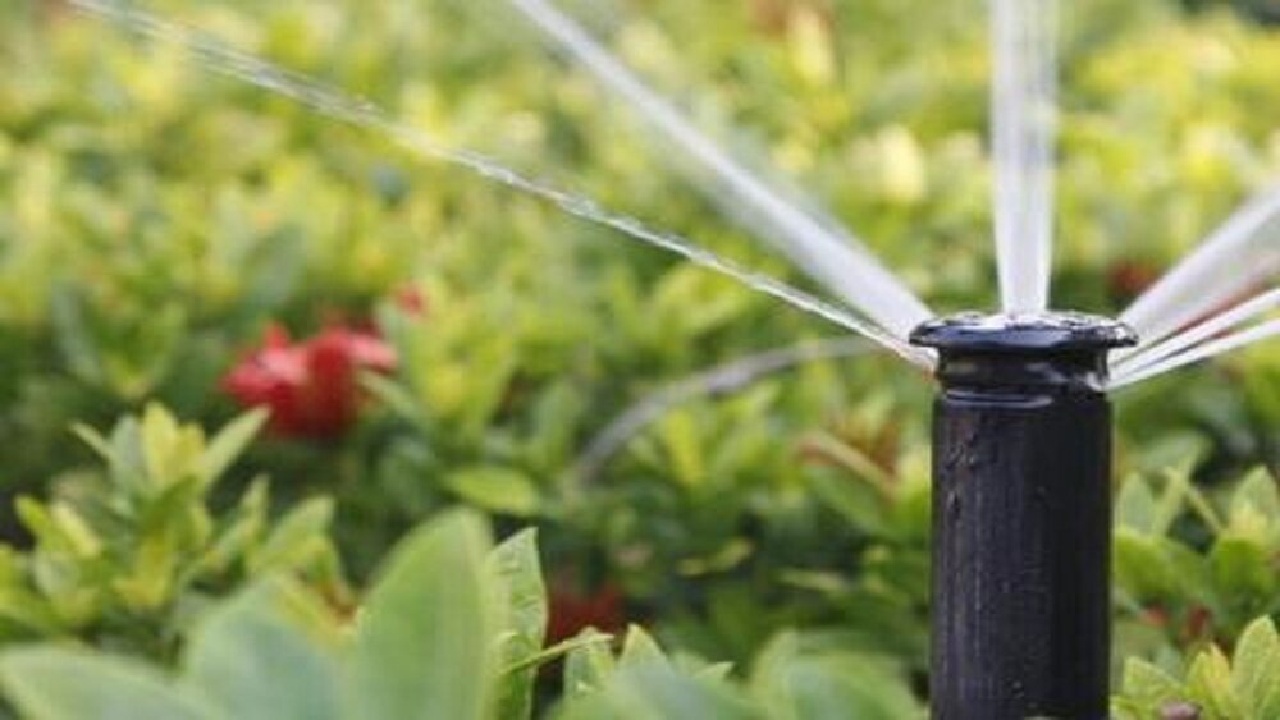 هدررفت آب شرب در لرستان؛ از قبض ۴۰ میلیونی تا آبیاری فضای سبز