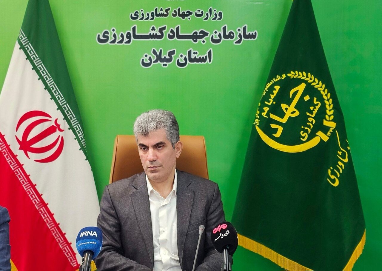 تولید سالانه ۶.۶ میلیون تن محصول کشاورزی در گیلان؛ نقش محوری در امنیت غذایی کشور
