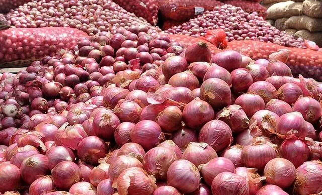 افزایش صادرات پیاز فارس به ترکیه در تابستان امسال