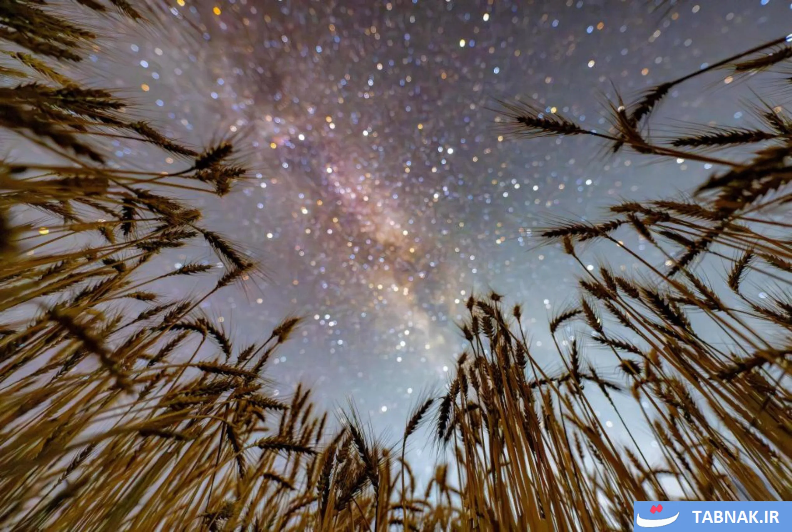 آسمان پرستاره و مزارع هیلونگ‌جیانگ