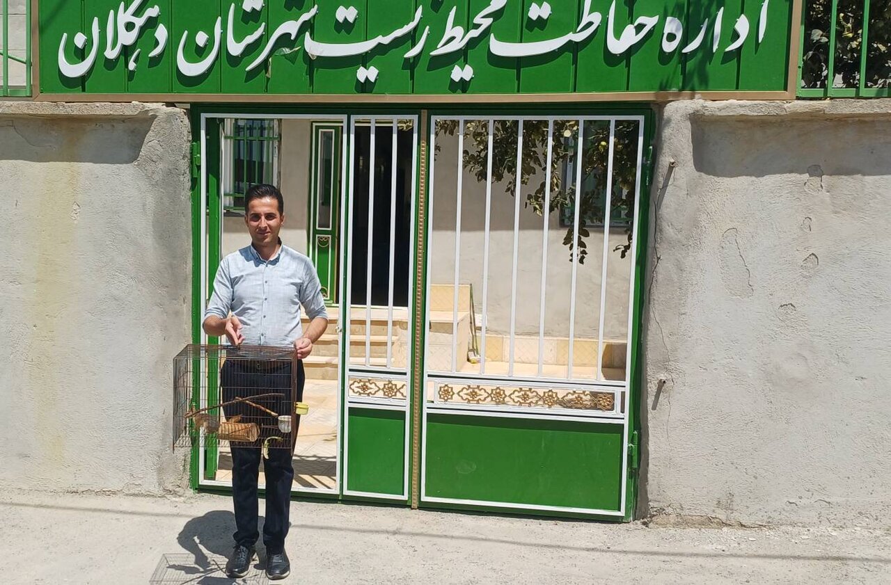 سنجاب بهبودیافته دهگلانی آماده بازگشت به دامان طبیعت