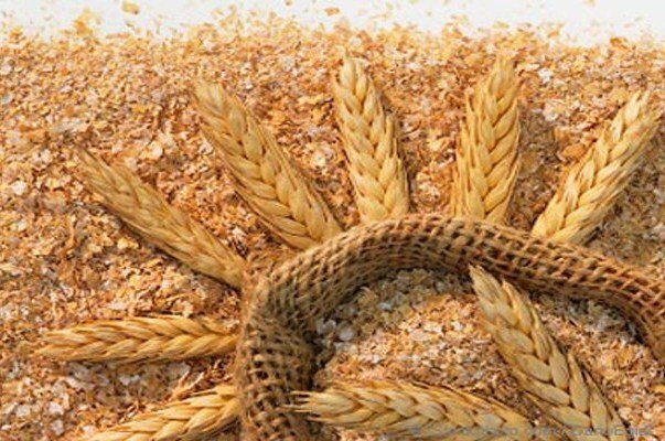 کاهش ۲۰ درصدی خرید دولتی گندم در استان تهران/ تأخیر در اعلام قیمت واحدها را به سمت بازار آزاد سوق داد