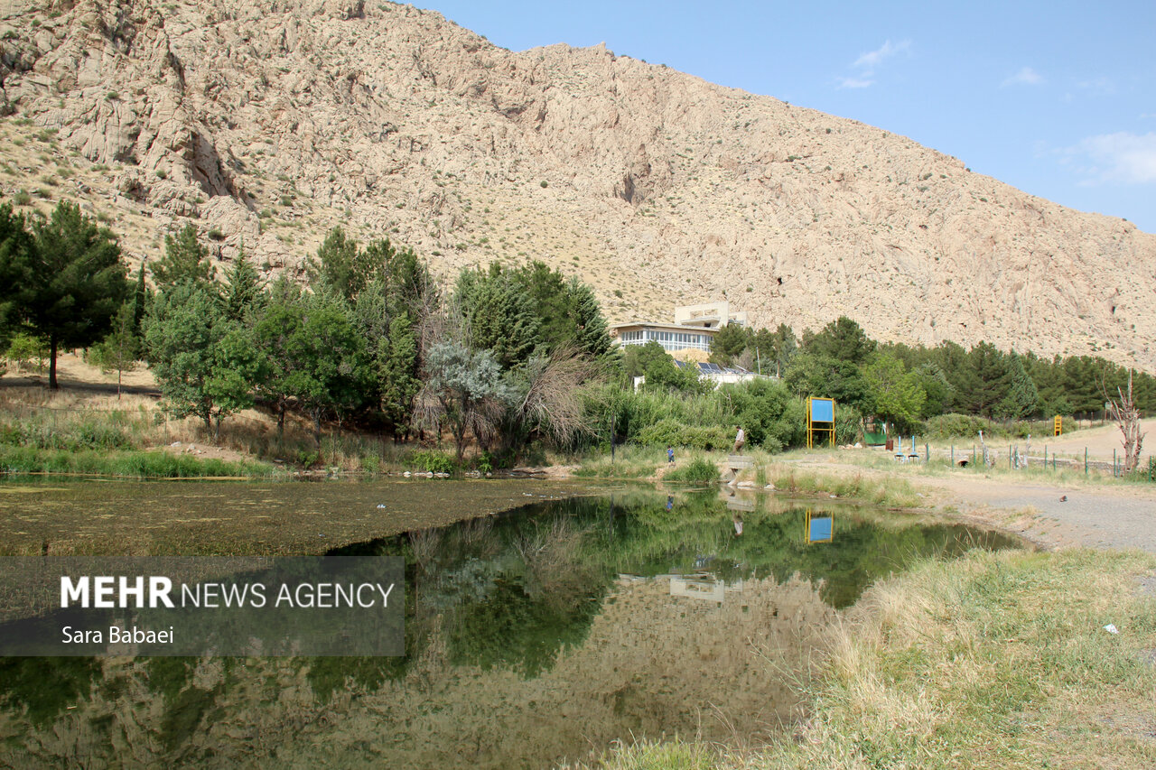 مدیرکل محیط زیست کرمانشاه: تالاب هشیلان الگویی موفق از مشارکت مردمی در حفاظت طبیعت می‌شود
