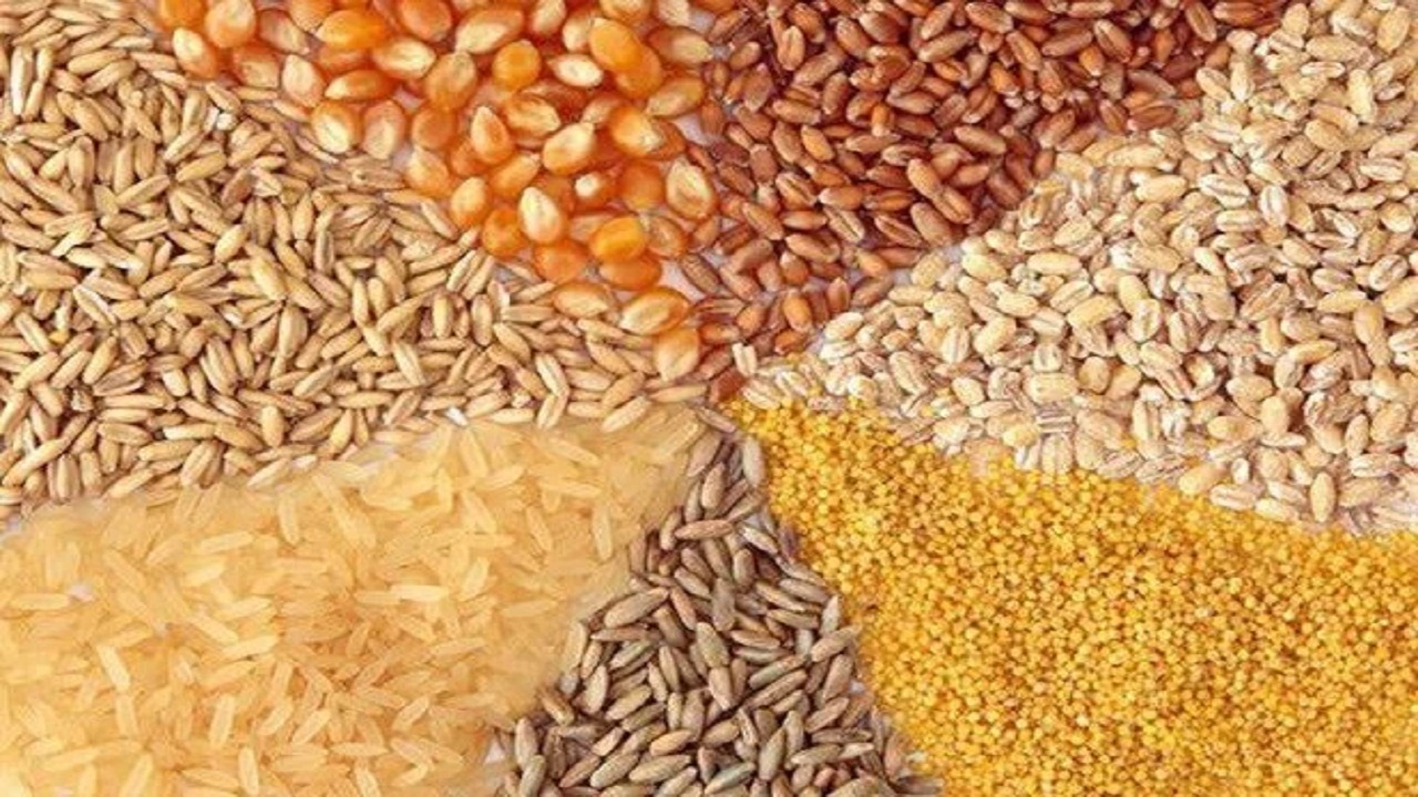 محکومیت متخلف به جریمه ۲ میلیارد ریالی به دلیل عدم ثبت نهاده دامی در سامانه