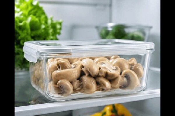 راهنمای کامل نگهداری قارچ بلانچ‌شده؛ ماندگاری در یخچال و فریزر